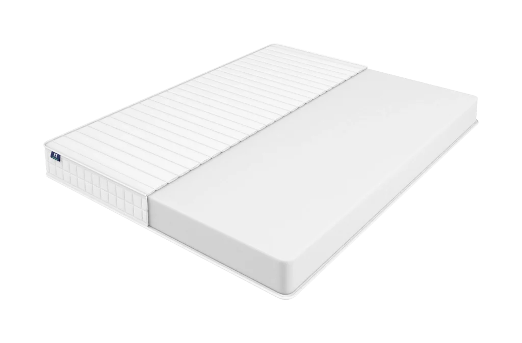 DS BASE Plus